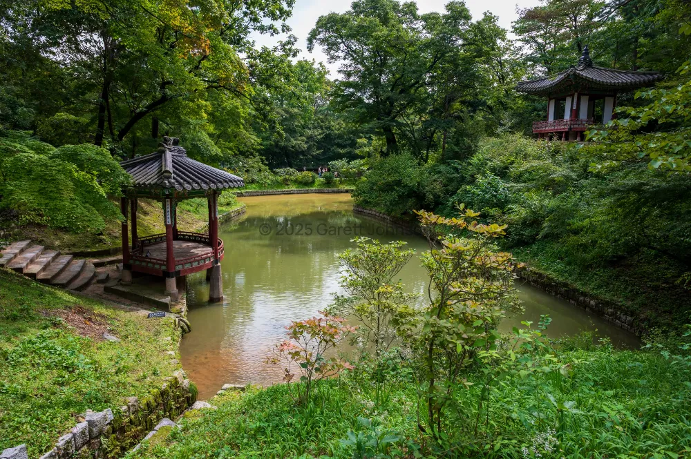Two traditional Korean pavilions with red pillars overlook a green pond, framed by lush trees at Changdeokgung Palace, Seoul.