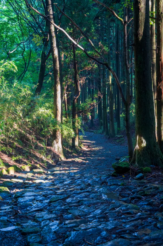 The Tōkaidō Road