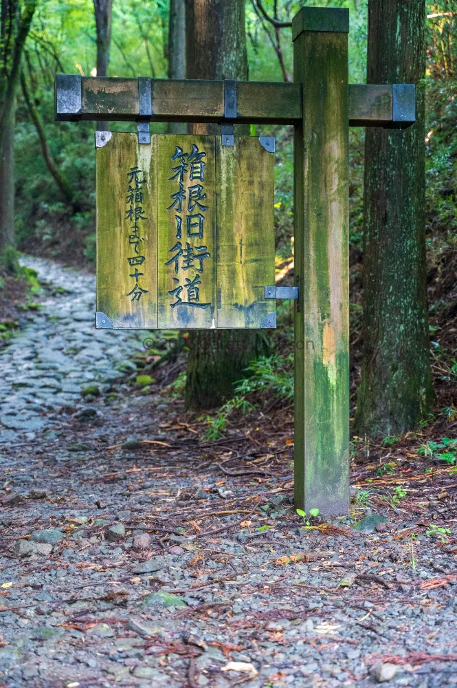 Moss-stained wooden signpost with Japanese characters beside the old cobblestone Tōkaidō Road in a forest near Hakone, Japan.