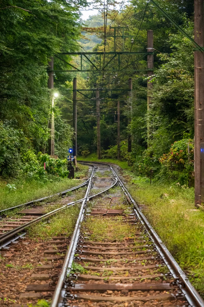 Japanese Rail
