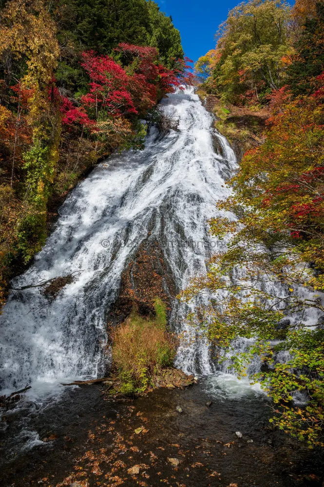 Yudaki Falls in Nikko, Japan, cascading down a rocky slope between red and gold autumn foliage under a deep blue sky.