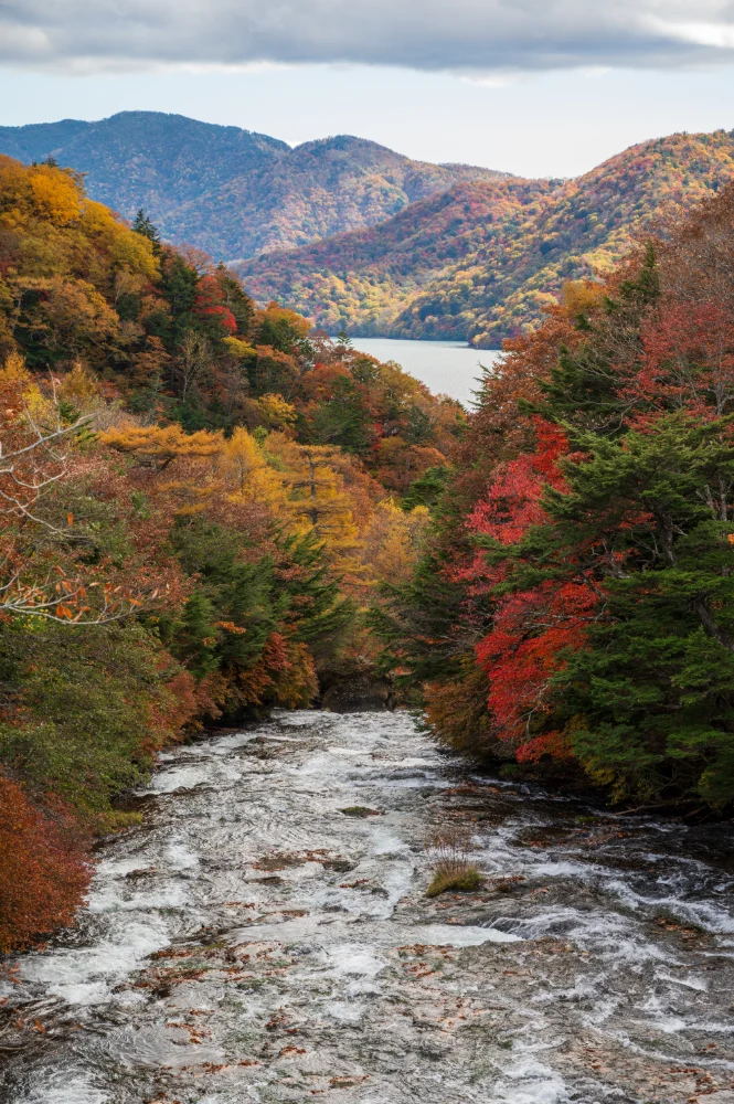 Chuzenji View