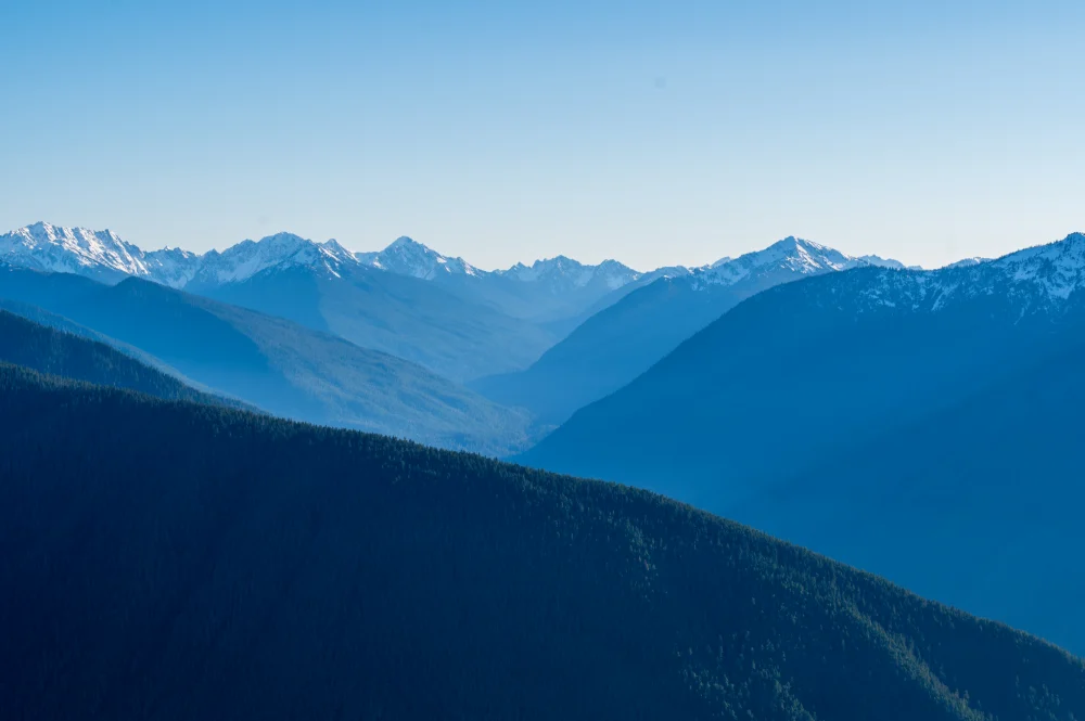 Hurricane Ridge, Olympic National Forest