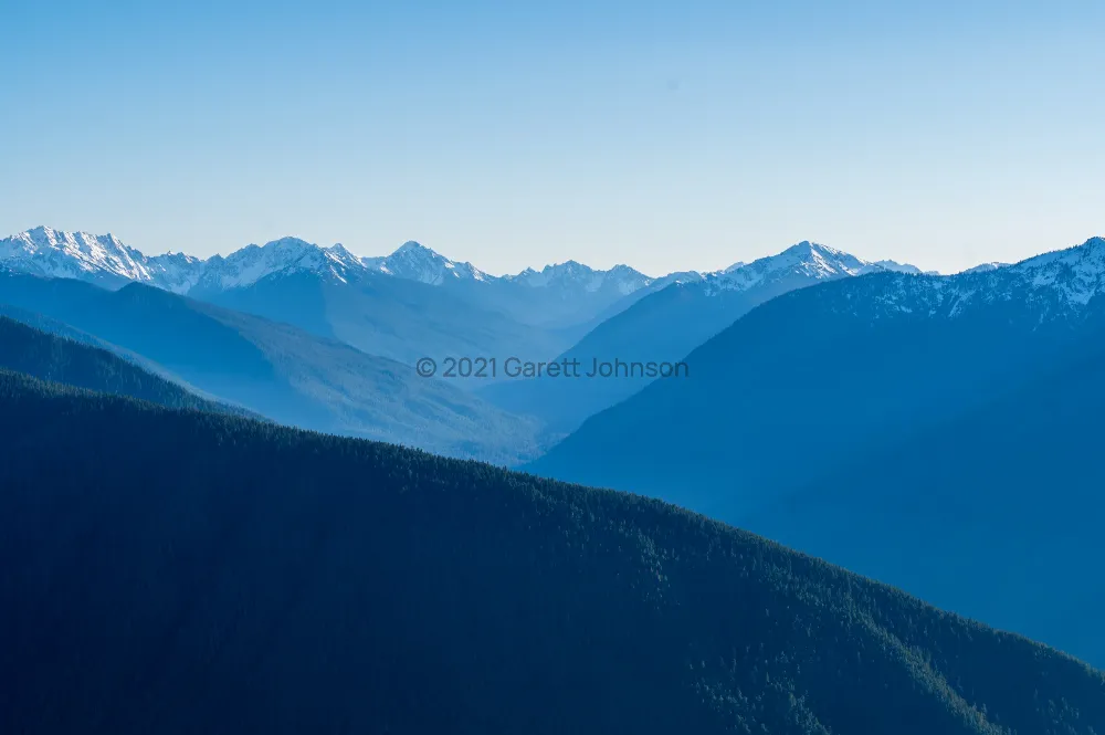 Layered blue ridgelines fade toward snow-capped peaks beyond forested slopes at Hurricane Ridge under a clear sky.