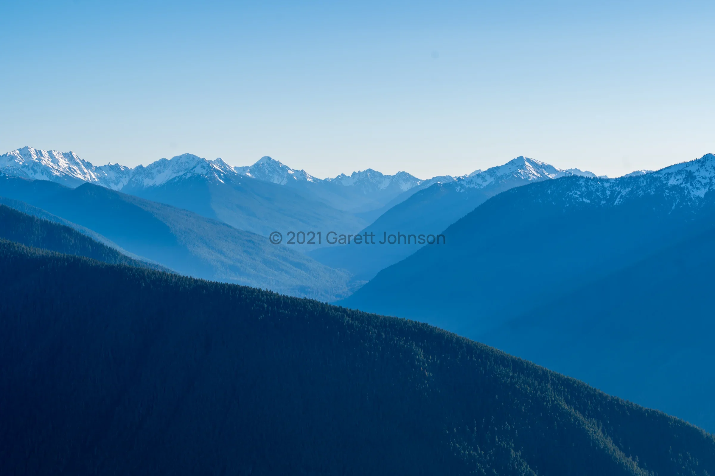 Layered blue ridgelines fade toward snow-capped peaks beyond forested slopes at Hurricane Ridge under a clear sky.