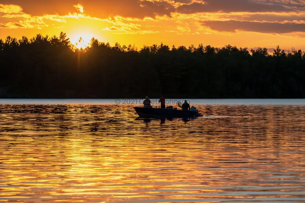 Three anglers in a boat silhouetted on rippling golden water at sunset on Big Lake near Ely, Minnesota, with pine forest behind.